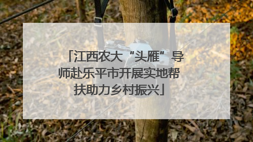 江西农大“头雁”导师赴乐平市开展实地帮扶助力乡村振兴