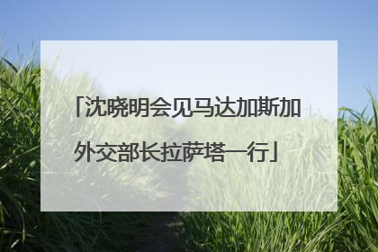 沈晓明会见马达加斯加外交部长拉萨塔一行