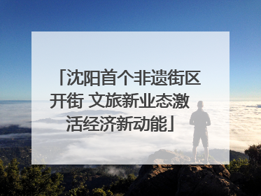 沈阳首个非遗街区开街 文旅新业态激活经济新动能
