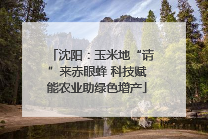 沈阳：玉米地“请”来赤眼蜂 科技赋能农业助绿色增产