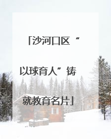 沙河口区“以球育人”铸就教育名片