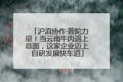 沪滇协作·普陀力量〡当云南牛肉遇上意面，这家企业迈上自研发展快车道