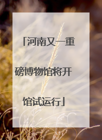 河南又一重磅博物馆将开馆试运行