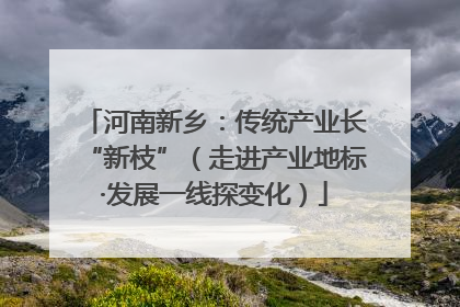 河南新乡：传统产业长“新枝”（走进产业地标·发展一线探变化）