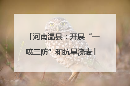 河南温县：开展“一喷三防”和抗旱浇麦