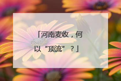 河南麦收，何以“顶流”？