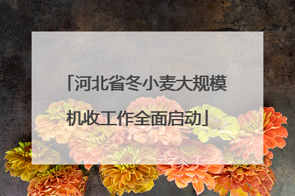 河北省冬小麦大规模机收工作全面启动