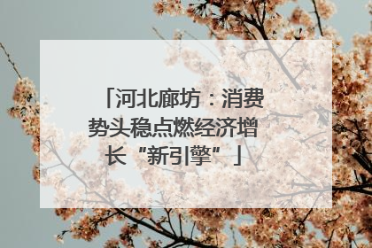 河北廊坊：消费势头稳点燃经济增长“新引擎”