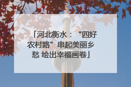 河北衡水：“四好农村路”串起美丽乡愁 绘出幸福画卷