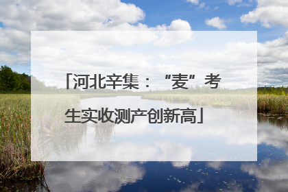 河北辛集：“麦”考生实收测产创新高