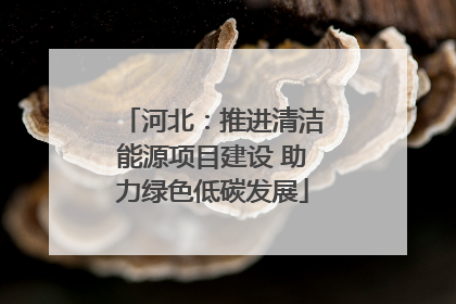 河北：推进清洁能源项目建设 助力绿色低碳发展