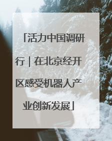 活力中国调研行｜在北京经开区感受机器人产业创新发展