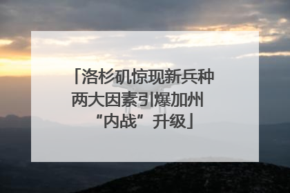 洛杉矶惊现新兵种 两大因素引爆加州“内战”升级