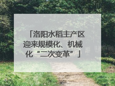 洛阳水稻主产区迎来规模化、机械化“二次变革”