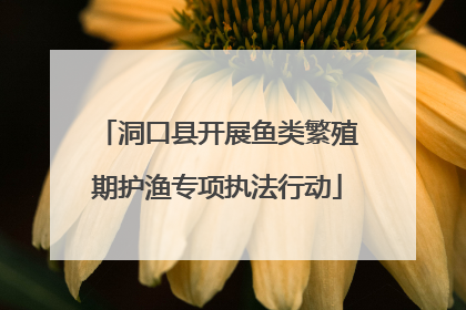 洞口县开展鱼类繁殖期护渔专项执法行动