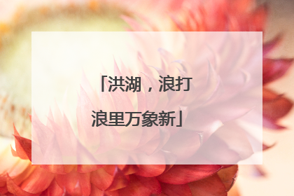 洪湖，浪打浪里万象新