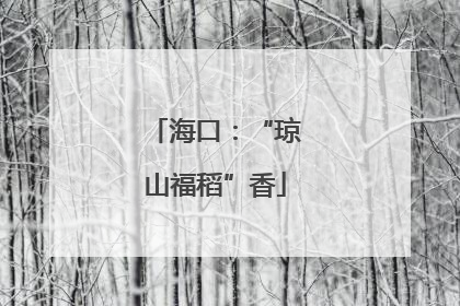 海口：“琼山福稻”香