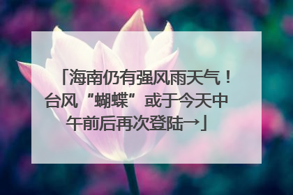 海南仍有强风雨天气！台风“蝴蝶”或于今天中午前后再次登陆→