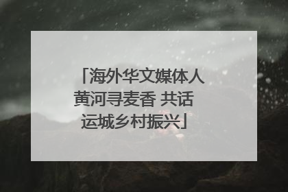 海外华文媒体人黄河寻麦香 共话运城乡村振兴