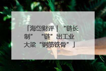 海岱财评｜“链长制” “链”出工业大梁“钢筋铁骨”