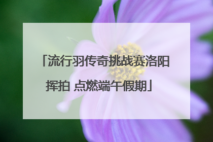 流行羽传奇挑战赛洛阳挥拍 点燃端午假期
