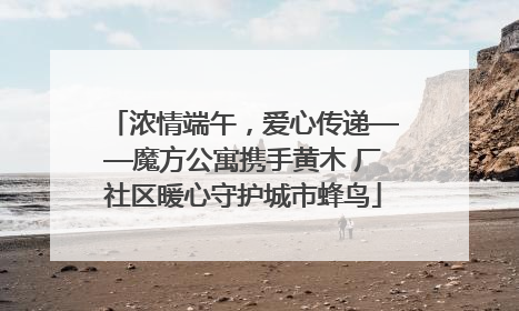浓情端午，爱心传递——魔方公寓携手黄木 厂社区暖心守护城市蜂鸟