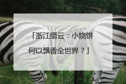 浙江缙云：小烧饼何以飘香全世界？