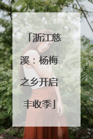 浙江慈溪：杨梅之乡开启丰收季