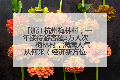 浙江杭州梅林村，一年接待游客超5万人次——梅林村，满满人气从何来（经济新方位·农村消费观察）