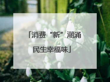 消费“新”潮涌 民生幸福味