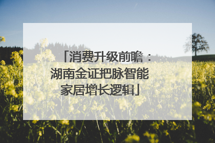 消费升级前瞻：湖南金证把脉智能家居增长逻辑