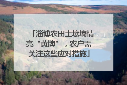 淄博农田土壤墒情亮“黄牌”，农户需关注这些应对措施