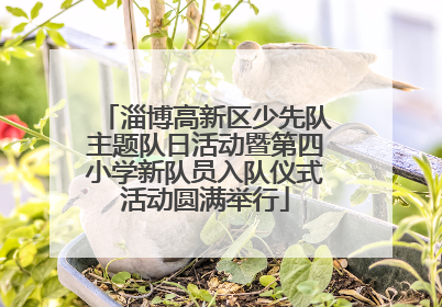 淄博高新区少先队主题队日活动暨第四小学新队员入队仪式活动圆满举行