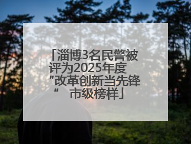 淄博3名民警被评为2025年度“改革创新当先锋” 市级榜样