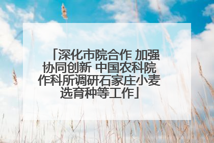 深化市院合作 加强协同创新 中国农科院作科所调研石家庄小麦选育种等工作