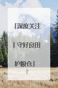 深度关注丨守好良田护粮仓