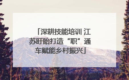 深耕技能培训 江苏盱眙打造“职”通车赋能乡村振兴