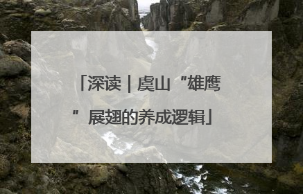 深读｜虞山“雄鹰”展翅的养成逻辑