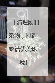 清理废旧杂物，打造整洁优美环境