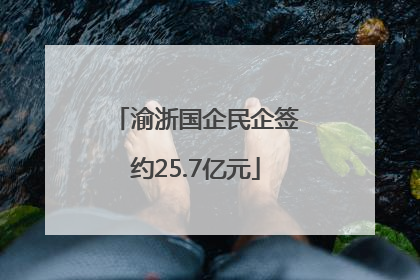 渝浙国企民企签约25.7亿元