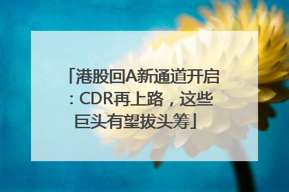 港股回A新通道开启：CDR再上路，这些巨头有望拔头筹