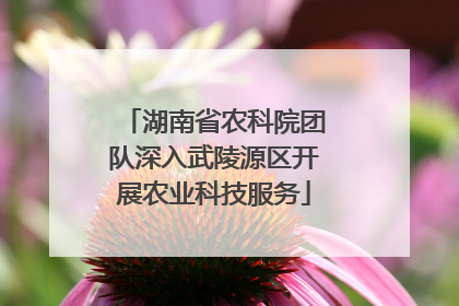 湖南省农科院团队深入武陵源区开展农业科技服务