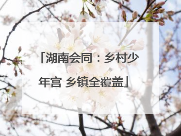 湖南会同：乡村少年宫 乡镇全覆盖
