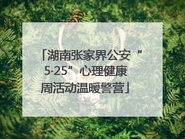 湖南张家界公安“5·25”心理健康周活动温暖警营