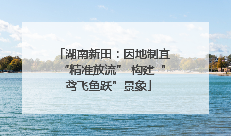 湖南新田：因地制宜“精准放流” 构建“鸢飞鱼跃”景象
