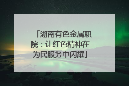 湖南有色金属职院：让红色精神在为民服务中闪耀