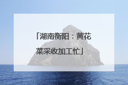 湖南衡阳：黄花菜采收加工忙