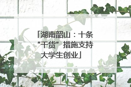 湖南韶山：十条“干货”措施支持大学生创业