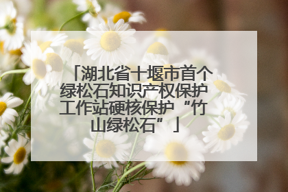 湖北省十堰市首个绿松石知识产权保护工作站硬核保护“竹山绿松石”