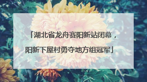 湖北省龙舟赛阳新站闭幕，阳新下屋村勇夺地方组冠军